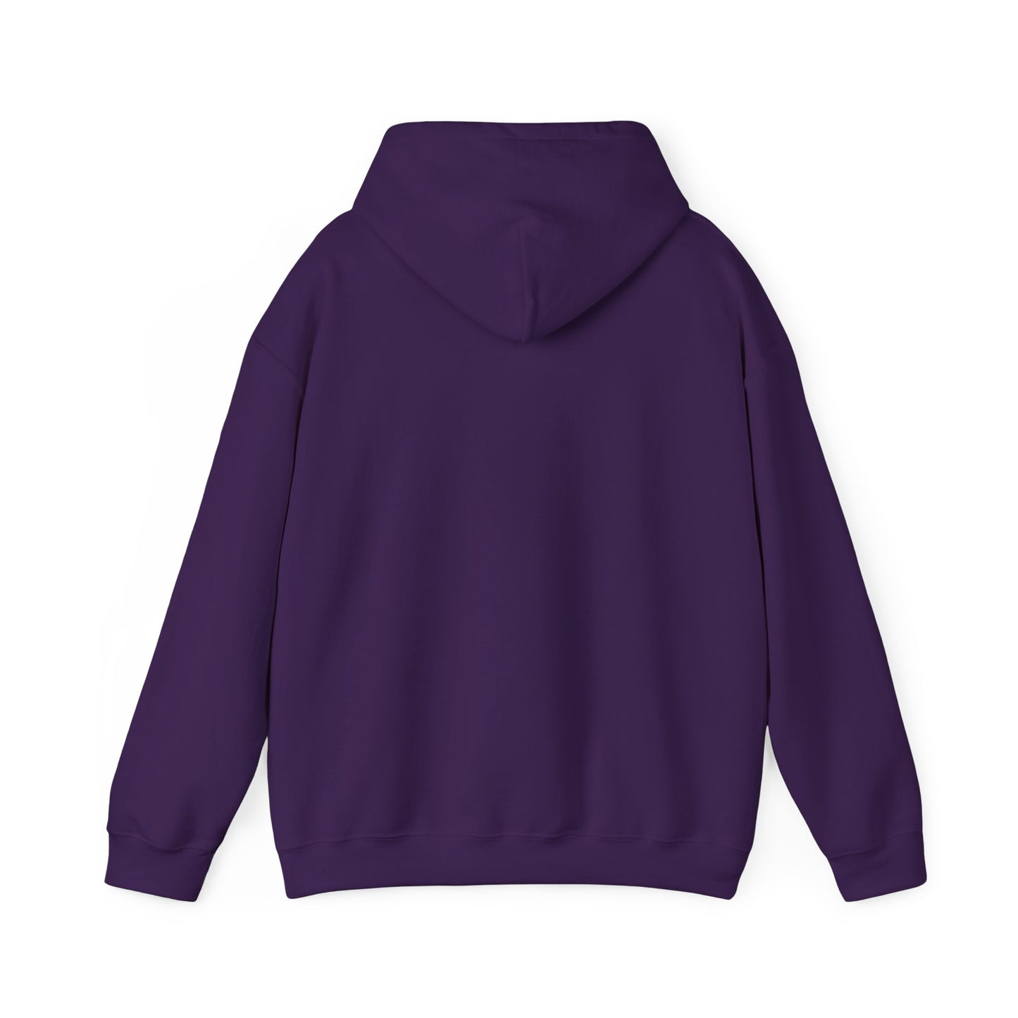 Funny Hoodie in Cool Colors