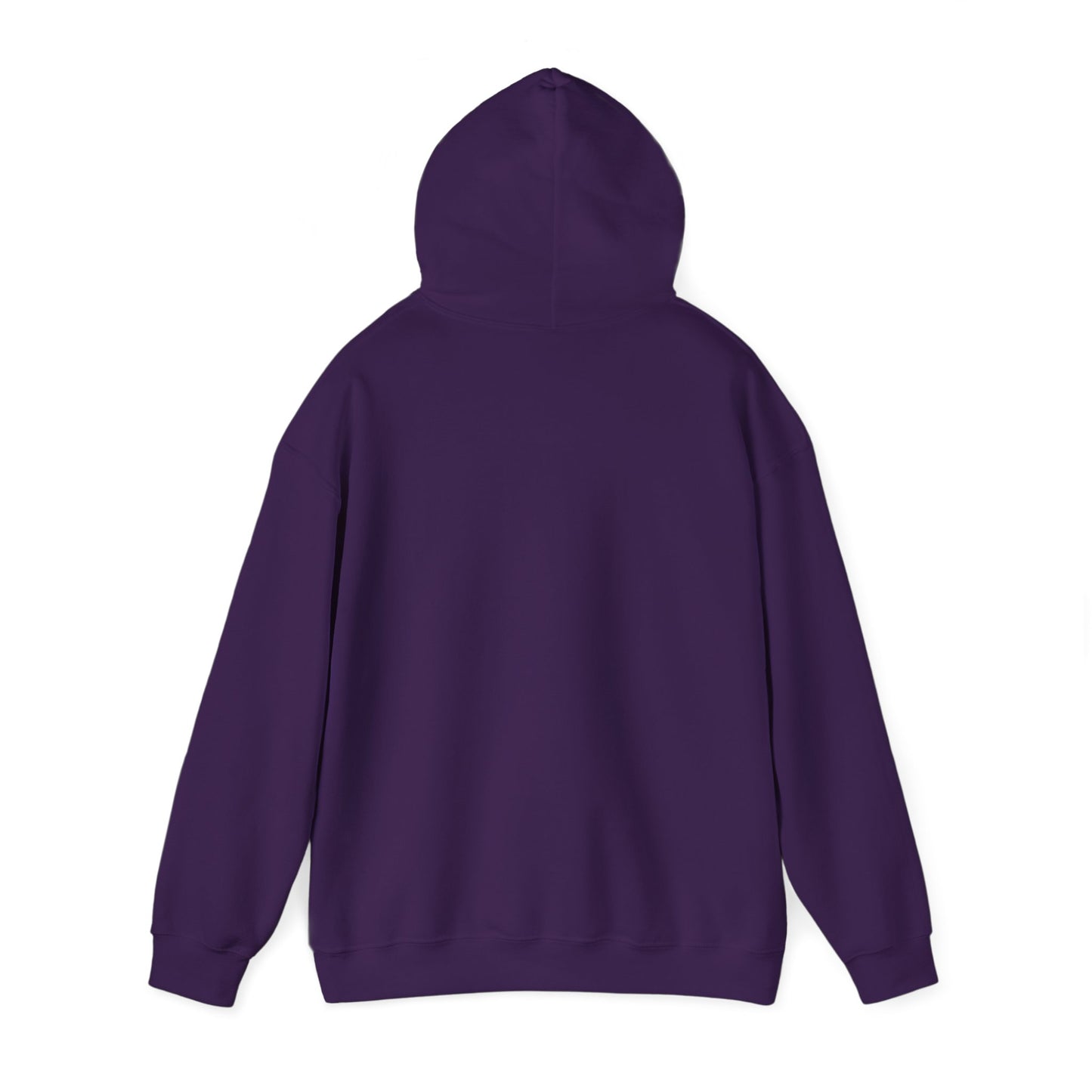Funny Hoodie in Cool Colors