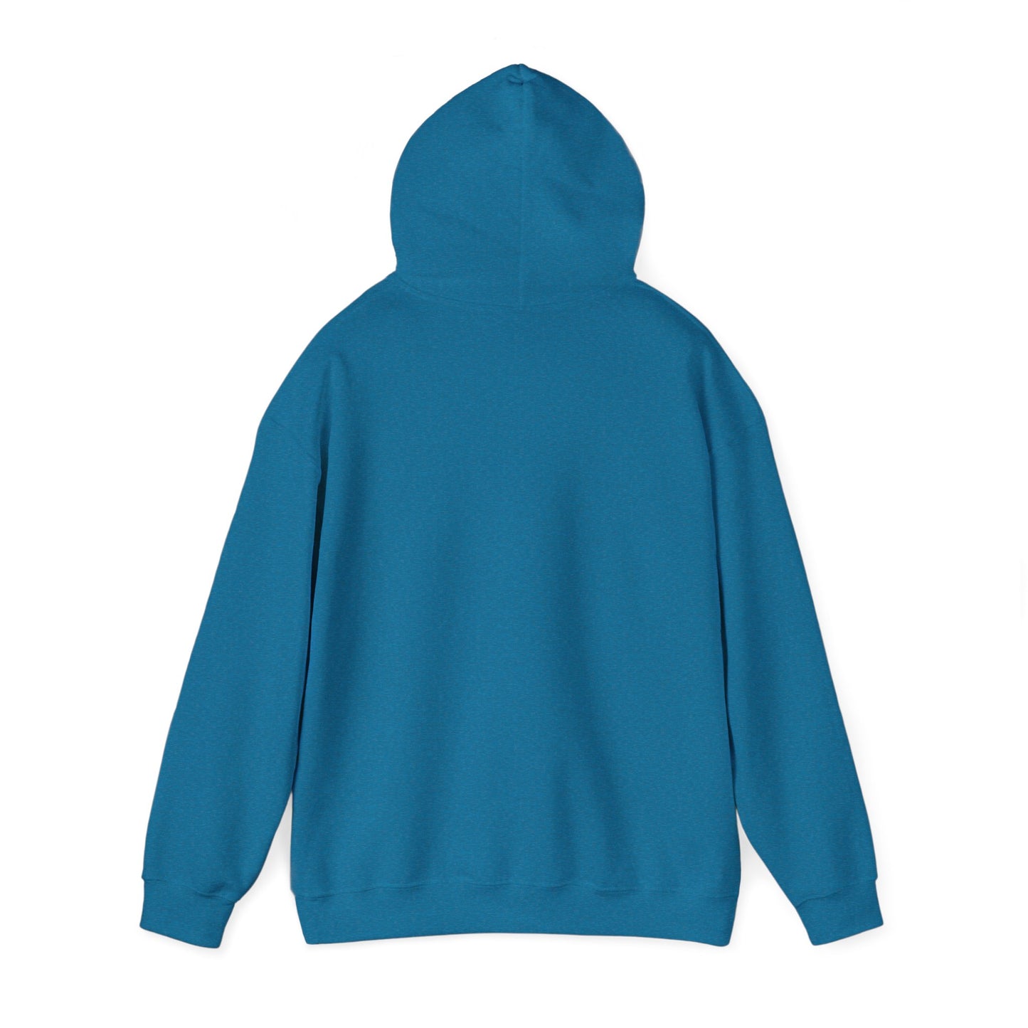 Funny Hoodie in Cool Colors