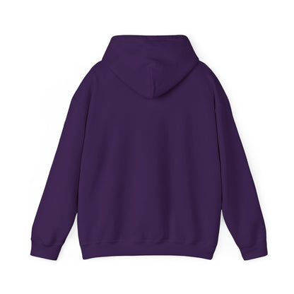 Funny Hoodie in Cool Colors