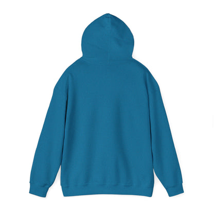 Funny Hoodie in Cool Colors